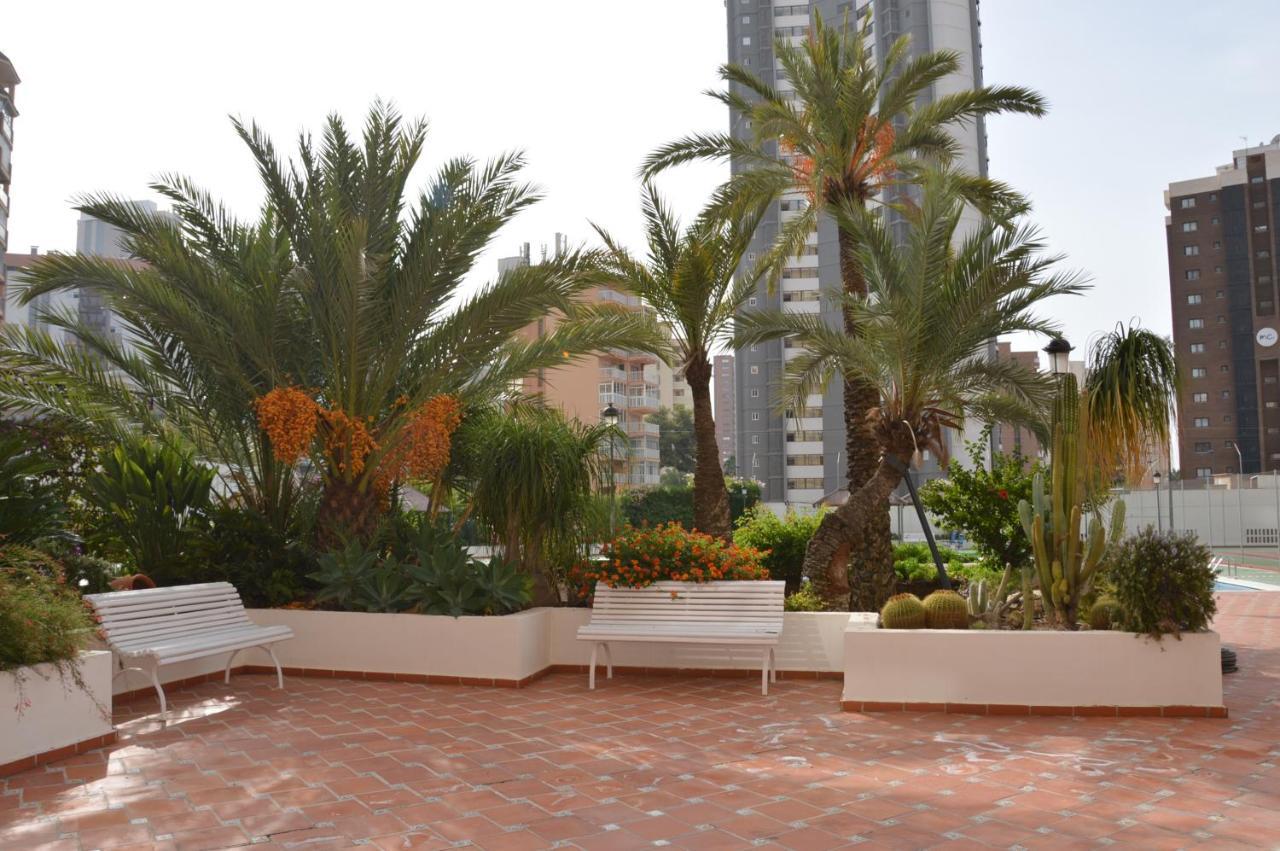 Gemelos2 Loysan Apt. With Pool بينايدورم المظهر الخارجي الصورة